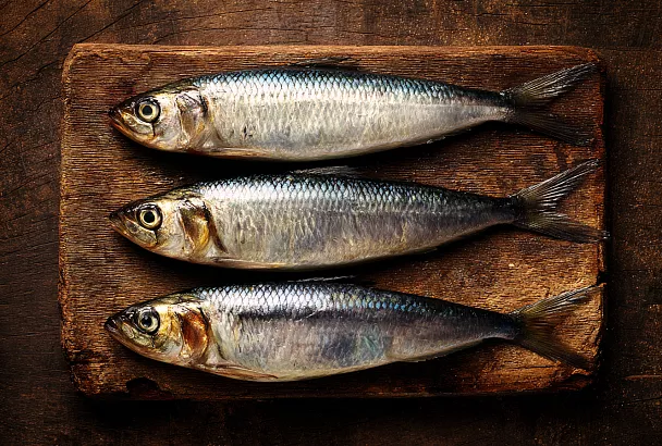 Домашняя  слабосоленая селёдка с укропом