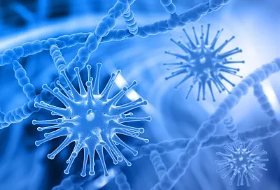 Российские и китайские учёные обнаружили новый элемент в светособирающей системе бактерии