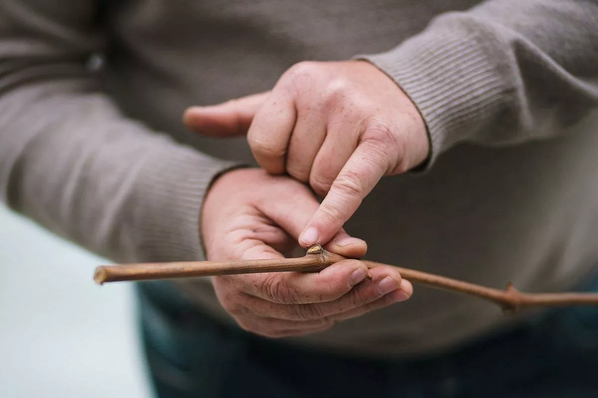 Станислав Михалков