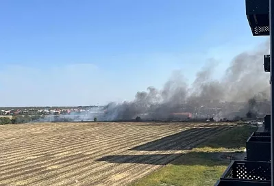 В Краснодаре горит трава на площади 2 га