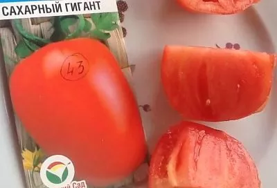 3 сорта томатов, которые 100% станут хитами в 2025 году, и 1 лайфхак для идеального урожая от Галины Кизимы