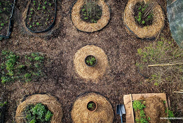 Как перестать полоть до изнеможения: одна система мульчи вместо вечной войны с сорняками