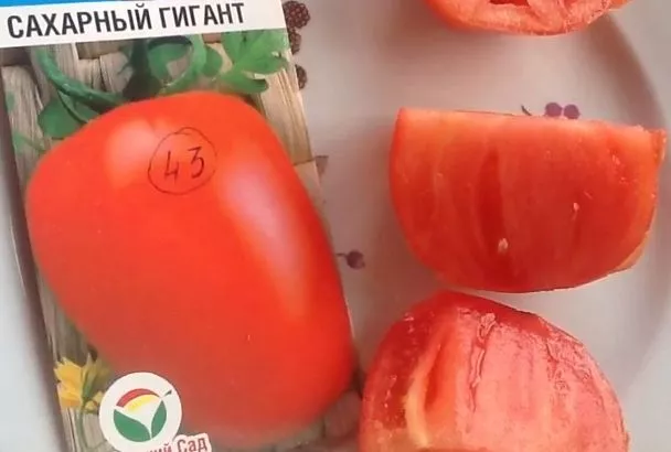 3 сорта томатов, которые 100% станут хитами в 2025 году, и 1 лайфхак для идеального урожая от Галины Кизимы