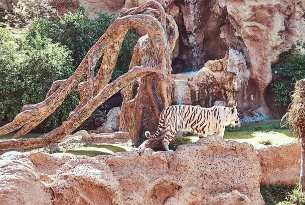 Яна Олейник: «Убивать детенышей смысла совершенно не было»