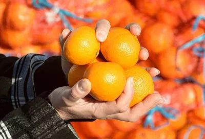 Оранжевое настроение