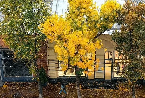 Краснодар вошел в топ-10 городов-миллионников, популярных для отдыха осенью