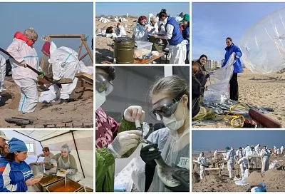 Плечом к плечу: катастрофа, которая сплотила тысячи добровольцев