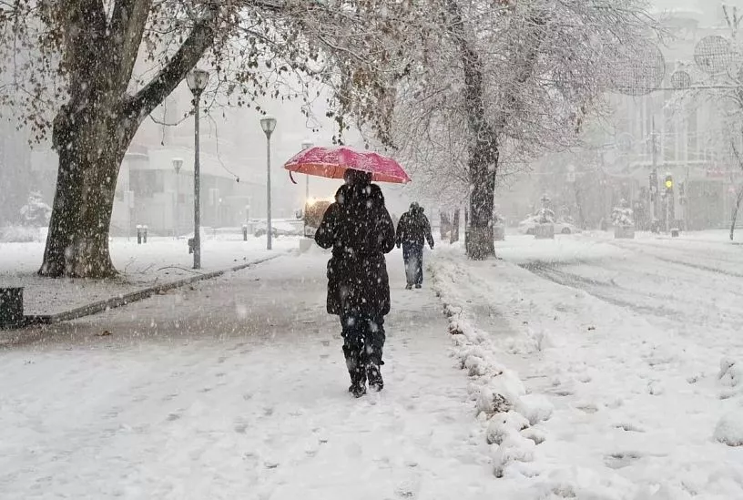 Режим ЧС ввели в Белореченском районе из-за снегопада 