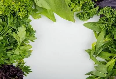 Жуйте чаще и тщательнее: почему свежая зелень должна быть в рационе питания каждого человека