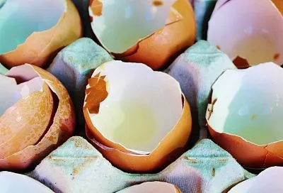 Слушайте маму и бабушку и не выбрасывайте ценный продукт в мусорку! Пять способов применения в хозяйстве яичной скорлупы