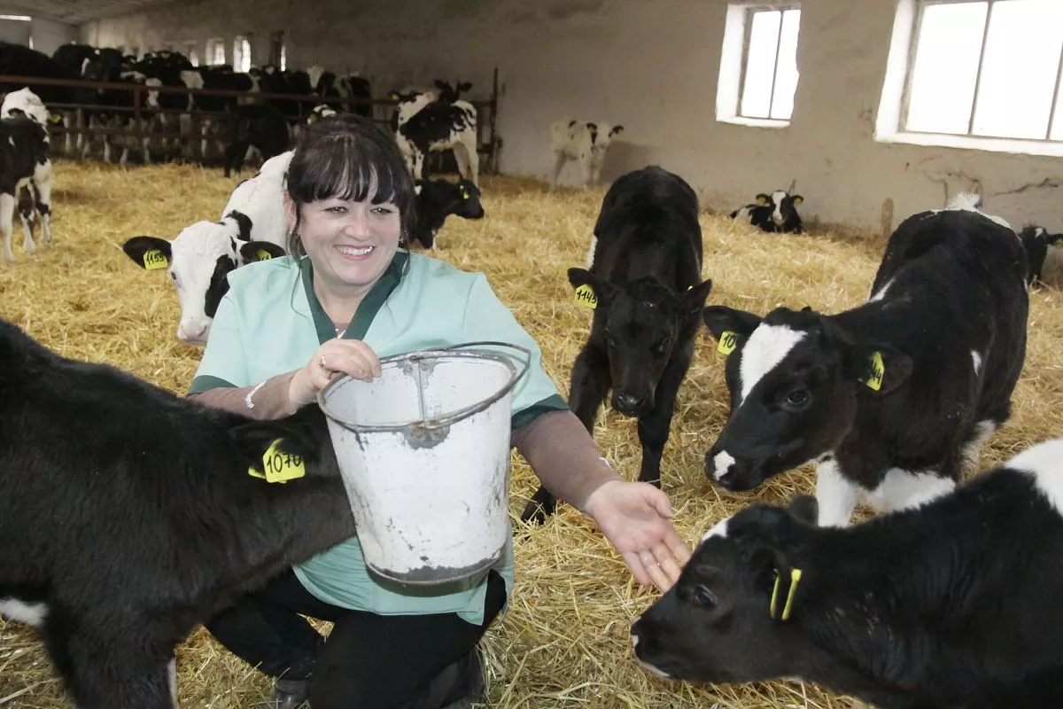 Одна из лучших доярок хозяйства Наталья Канищева может найти подход как к телятам, так и к буренкам. Одна из лучших доярок хозяйства Наталья Канищева может найти подход как к телятам, так и к буренкам.