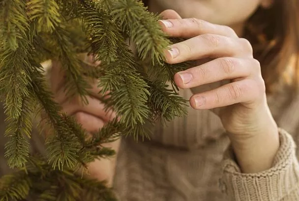 Хвойные деревья тоже нуждаются в заботе