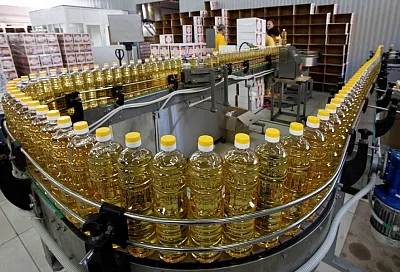 В Краснодарском крае за пять лет на 25% увеличилось производство сельхозпродукции