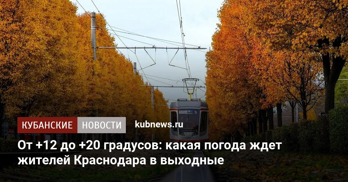 От +12 до +20 градусов: какая погода ждет жителей Краснодара в выходные