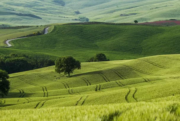 Суд вернул более 12 гектаров земель в собственность Сочи
