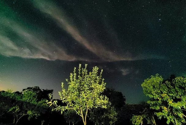 Во время первого звездопада 2026 года метеоры будут появляться на небе почти каждую минуту