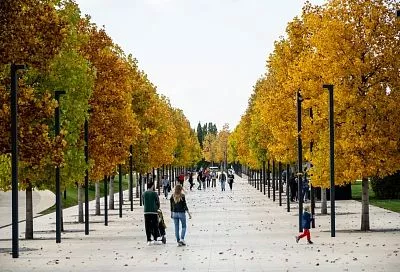 Сказочные места: три парка Кубани, где можно увидеть осень во всей красе