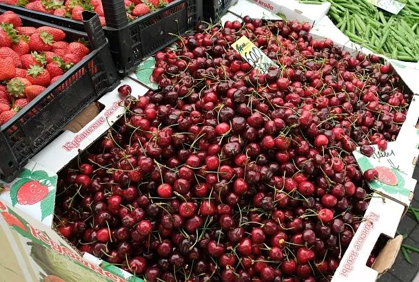 Экономист: из-за весенних заморозков в Краснодарском крае узбекская черешня подорожает на 7-10%