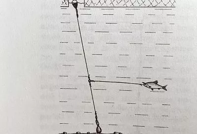 Ловля щуки с тройным вертлюжком - секрет уловистой оснастки по первому льду 