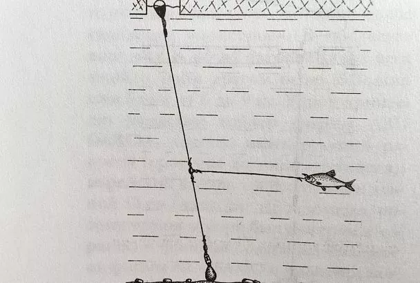 Ловля щуки с тройным вертлюжком - секрет уловистой оснастки по первому льду 