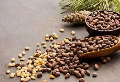 Маленькие, да удаленькие: вся правда о пользе кедровых орешков для здоровья человека