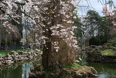 В топ-10 самых теплых мест России попали 22 марта четыре города и поселок Краснодарского края