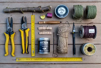 Груша «в тополь» больше не тянется: мягкая схема обрезки на горизонталь