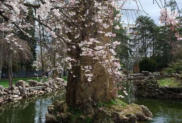 В топ-10 самых теплых мест России попали 22 марта четыре города и поселок Краснодарского края