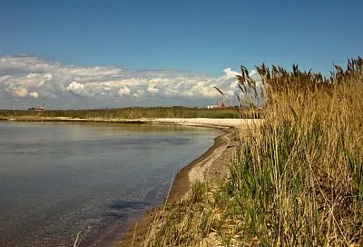 В Азовском море исчезает рыба: кто виноват и что делать