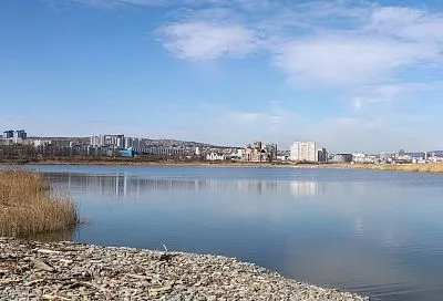 Ученый обнаружил считавшуюся исчезнувшей водоросль в Суджукской лагуне Новороссийска