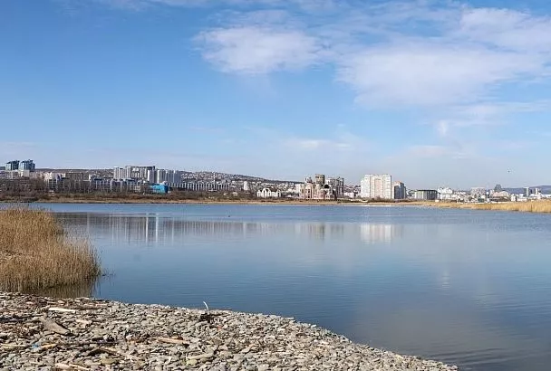 Ученый обнаружил считавшуюся исчезнувшей водоросль в Суджукской лагуне Новороссийска