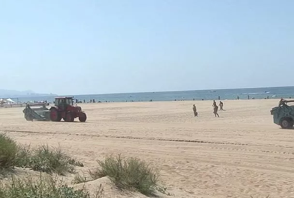 Спецтехника очистила 11,7 км береговой линии в Анапе