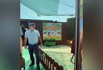 Зоопарк без лицензии закрыли в Геленджике