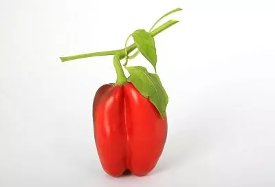 Берем осенью кусты перца с грядки в дом — и с таким уходом они растут всю зиму