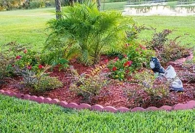 Как потеплело, сразу на дачу: какие многолетники можно высаживать уже в первых числах марта