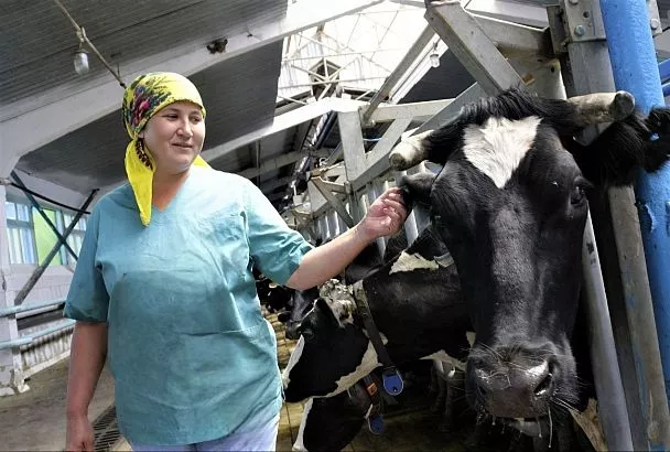 За последние шесть лет более 100 фермеров Краснодарского края получили «Агростартап» почти на 450 миллионов рублей