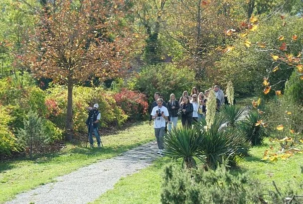 В Краснодарский край придет мощное потепление, но оно будет недолгим