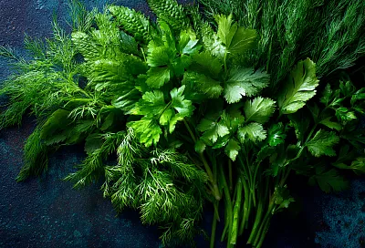 Как сохранить аромат лета: замораживаем зелень без льда и лишнего масла