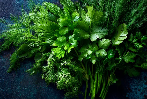 Как сохранить аромат лета: замораживаем зелень без льда и лишнего масла