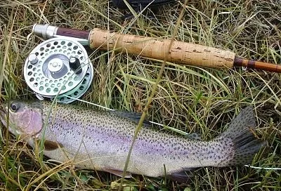 Заставит форель бросаться на крючок: хитрые рыболовы знают, как сорвать джек-пот с «форелевой лихорадки» в 2025 году