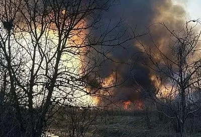 Лесной пожар на площади почти 6 га потушили в Краснодарском крае