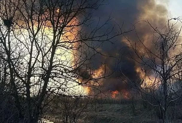 Лесной пожар на площади почти 6 га потушили в Краснодарском крае