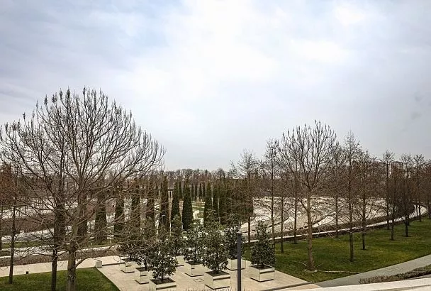 Росприроднадзор опроверг информацию об исках к компании Галицкого за работы в «Парке Облаков»