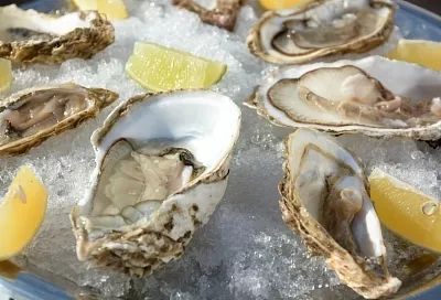 Участник из Геленджика вышел в четверку финалистов гастрономического конкурса «Лавры»