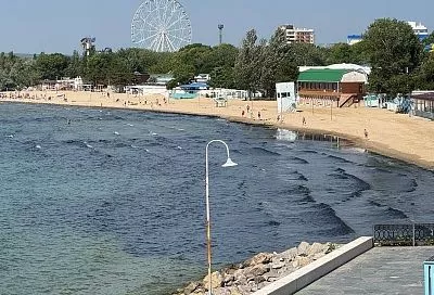 Оперштаб Кубани объяснил, почему водоросли на побережье Анапы черного цвета