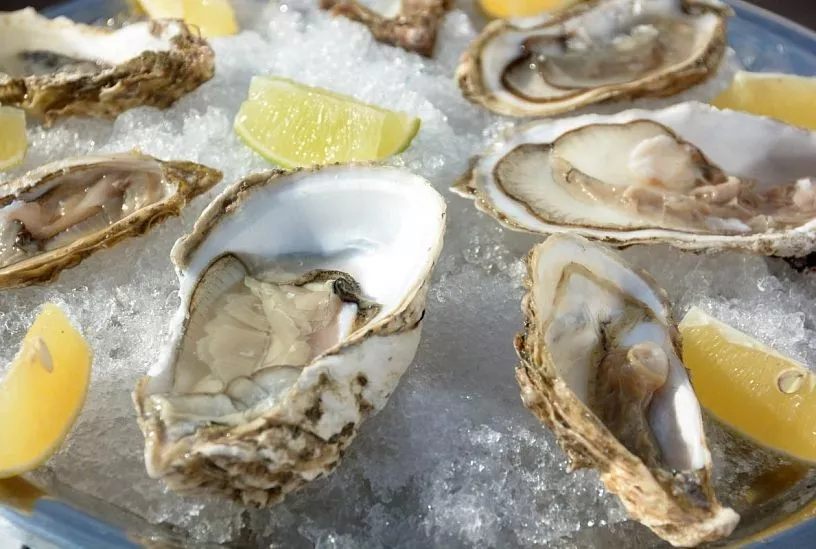 Участник из Геленджика вышел в четверку финалистов гастрономического конкурса «Лавры»