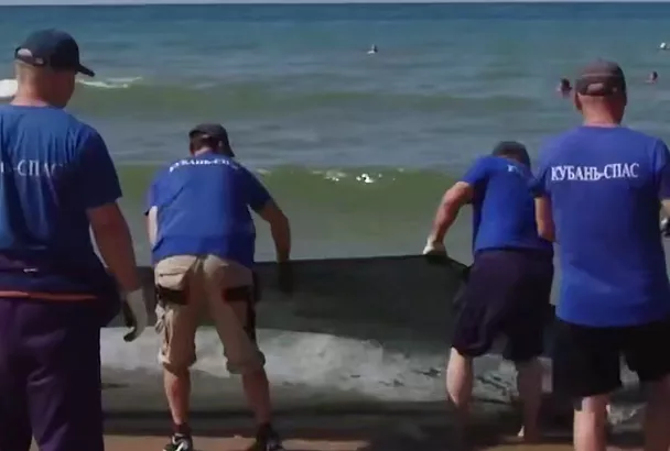 Около 3,5 километра полипропиленовых сетей убрали с пляжей Анапы