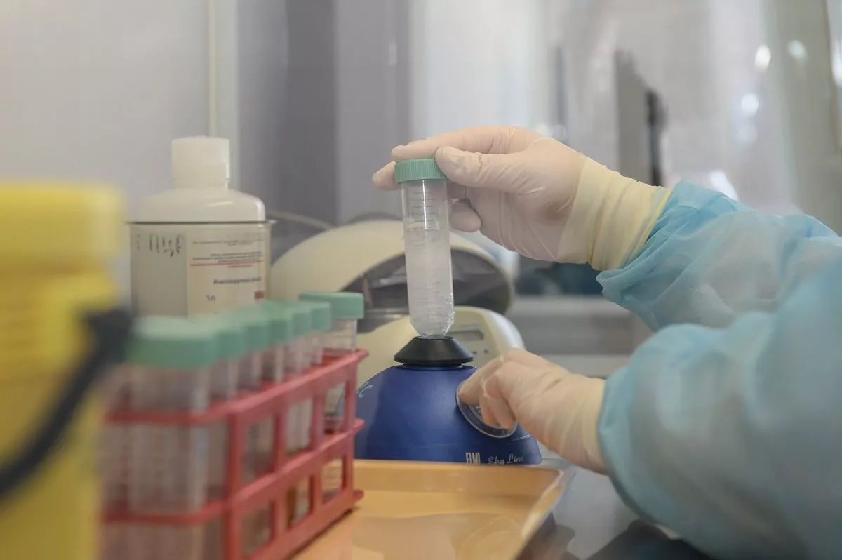 Известны результаты лабораторных исследований воздуха в Туапсе за 28 апреля