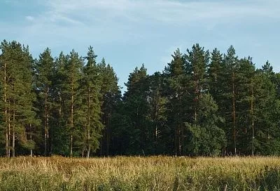 Худшее время для выяснения отношений: что можно и нельзя делать 13 мая - в день Якова Теплого