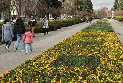 Вероятность осадков невелика. Синоптик Леус – о погоде на Кубани 27 марта 